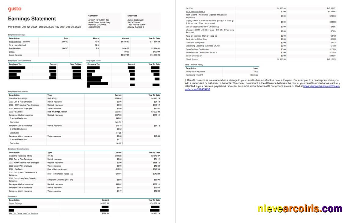 Gusto earnings statement